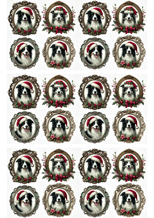 Sticker Sheet – Border Collie in Christmas Hat In Ovals Collage Cat. No. 2953