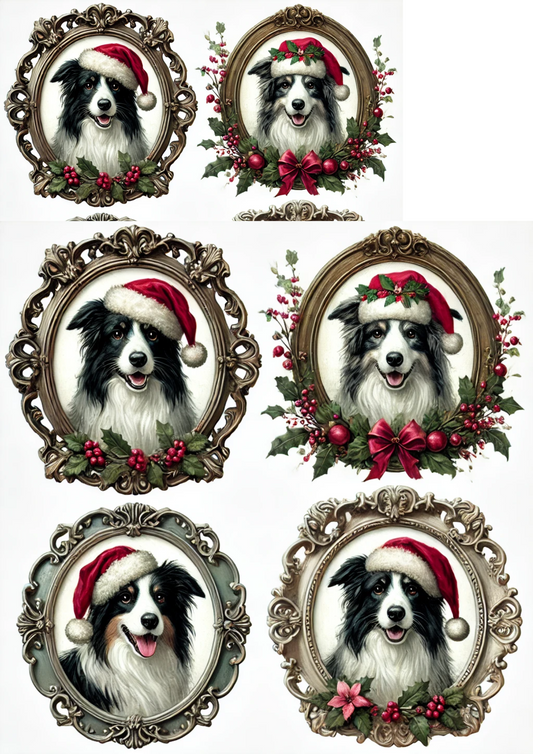 Sticker Sheet – Border Collie in Christmas Hat In Ovals Full Cat. No. 2954