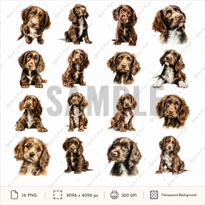 Brown Spaniel Puppy Clipart Set: 16 PNG, Transparent Background Clipart(Instant Download)
