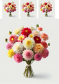 Wall Art Poster / Greeting Card / Sticker Sheet – Bouquet Dahlia Collage Cat No. 660