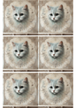 Klistremerkeark Katt Shabby Chic Collage Katt nr. 1783