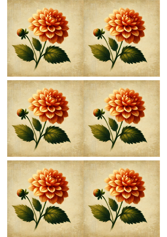 Sticker Sheet – Dahlia Flower On Orange Background Collage Cat. No. 2975