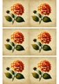 Stickerbogen – Collage „Dahlienblüte auf orangefarbenem Hintergrund“, Kat.-Nr. 2975