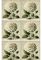 Stickerbogen – Collage „Dahlienblüte auf weißem Hintergrund“, Kat.-Nr. 2977