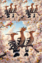 Wall Art Poster / Greeting Card / Sticker Sheet – Hoopoe On Cherry Blossom Collage Cat. No. 529