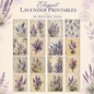 Elegant Lavender Printable Design Sheets – 16 A4 Digital Pages for Crafts (Instant Download)