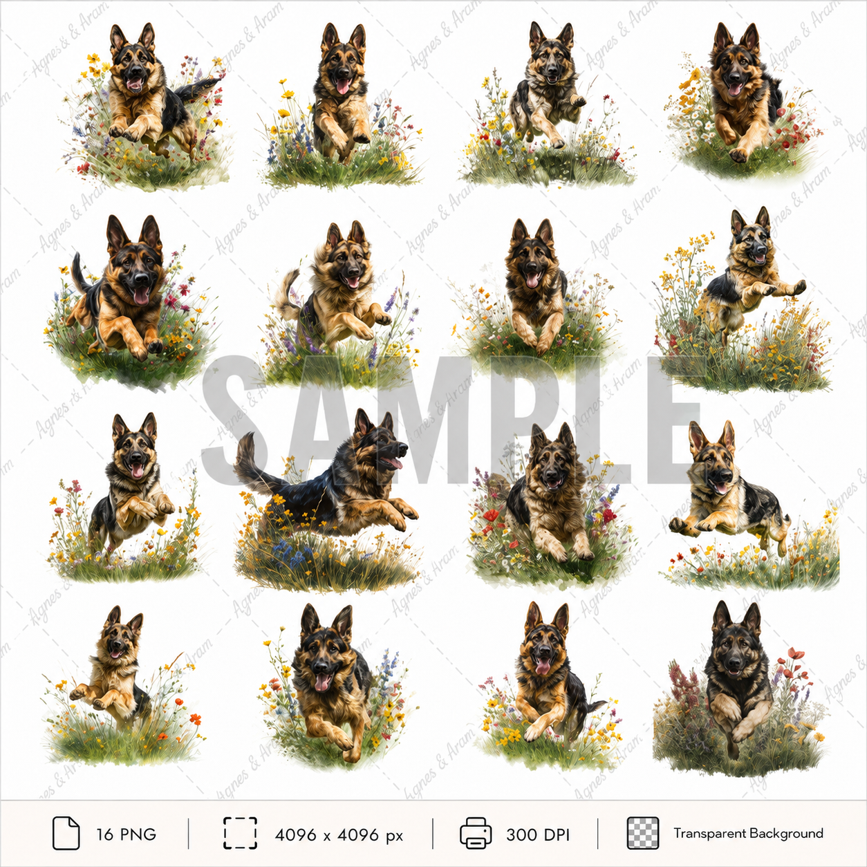 German Sheppard Dog Clipart Set: 16 PNG, Transparent Background Clipart (Instant Download)