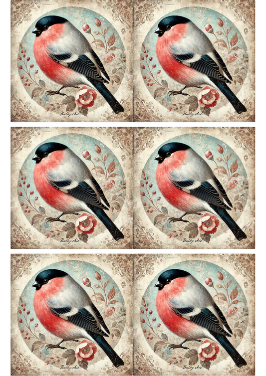 Sticker Sheet Bird Bullfinch Shabby Chic Collage Cat. No. 1906