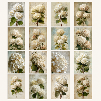 Hydrangea Printable Design Sheets – 48 A4 Digital Pages for Crafts (Instant Download)