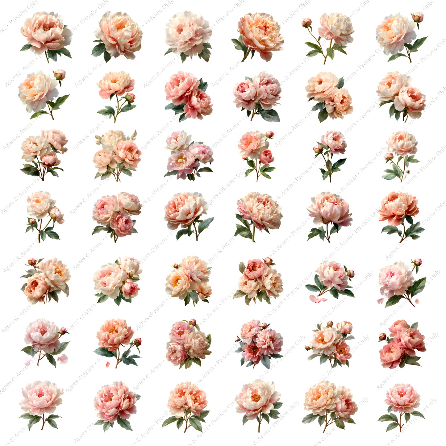 Watercolor Blush Pink Peonies Clipart Set: 36 PNG, Transparent Background Clipart(Instant Download)