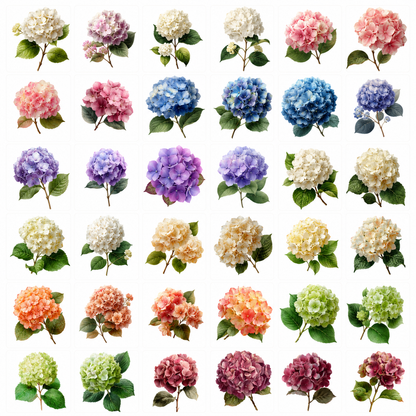 Hydrangea Printables & Clipart Bundle – 84 Digital Files, 48 A4 Sheets + 36 Cliparts for Crafts (Instant Download)