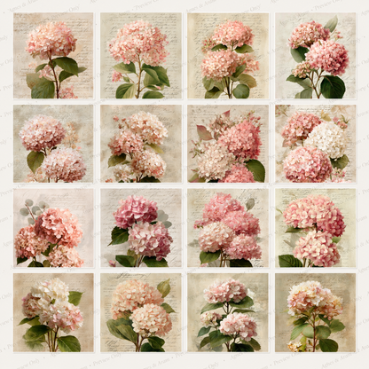 Hydrangea Printables & Clipart Bundle – 84 Digital Files, 48 A4 Sheets + 36 Cliparts for Crafts (Instant Download)