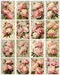 Vintage Blush Pink Peonies Printable Design Sheets – 16 A4 Digital Pages for Crafts (Instant Download)