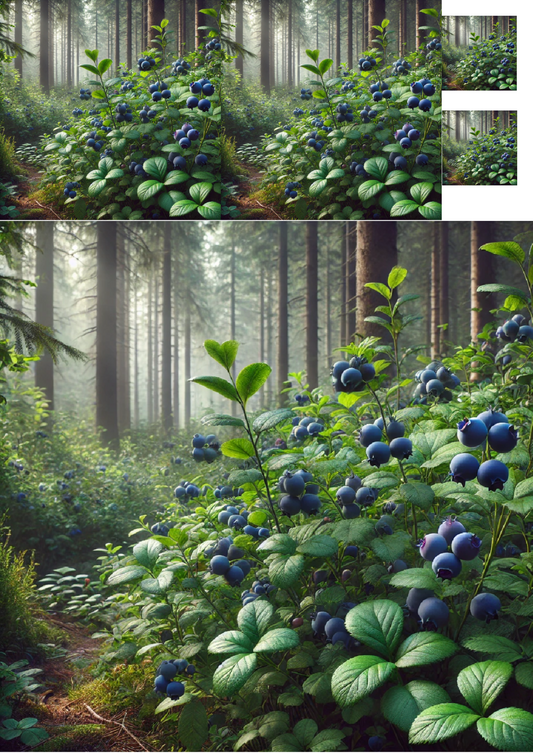 Sticker Sheet Berries In The Forest Collage Cat. No. 1285
