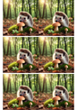 Wall Art Poster / Greeting Card / Sticker Sheet – Hedgehog In The Forest Collage Cat. No. 1968