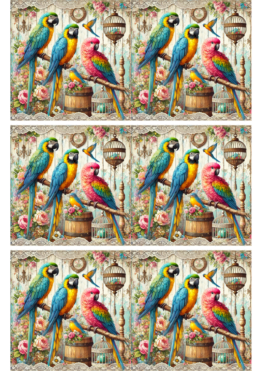 Sticker Sheet Colorful Parrots Collage Cat. No. 2016