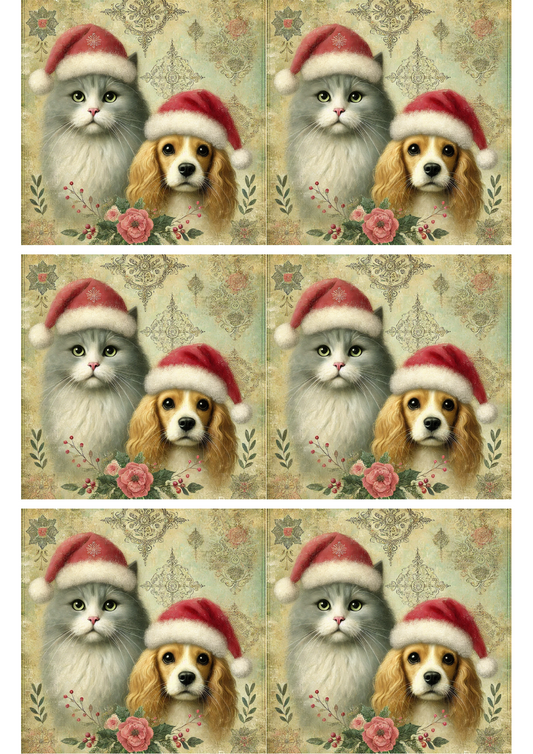 Sticker Sheet Cat and Dog in Christmas Hats Collage Cat. No. 2030