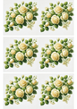Klistremerkeark Kremfarget Rose Girlander Collage Kat. nr. 2048