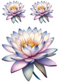 Wall Art Poster / Greeting Card / Sticker Sheet – Water Lily Collage Cat No. 741