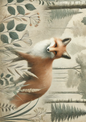 Wall Art Poster / Greeting Card / Sticker Sheet – Fox In The Forest Shabby Chic Full Cat. No. 3050