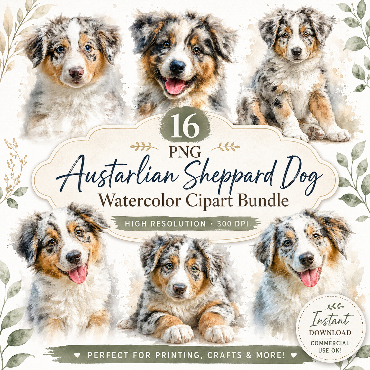 Australian Sheppard Dog Clipart Set: 16 PNG, Transparent Background Clipart(Instant Download)