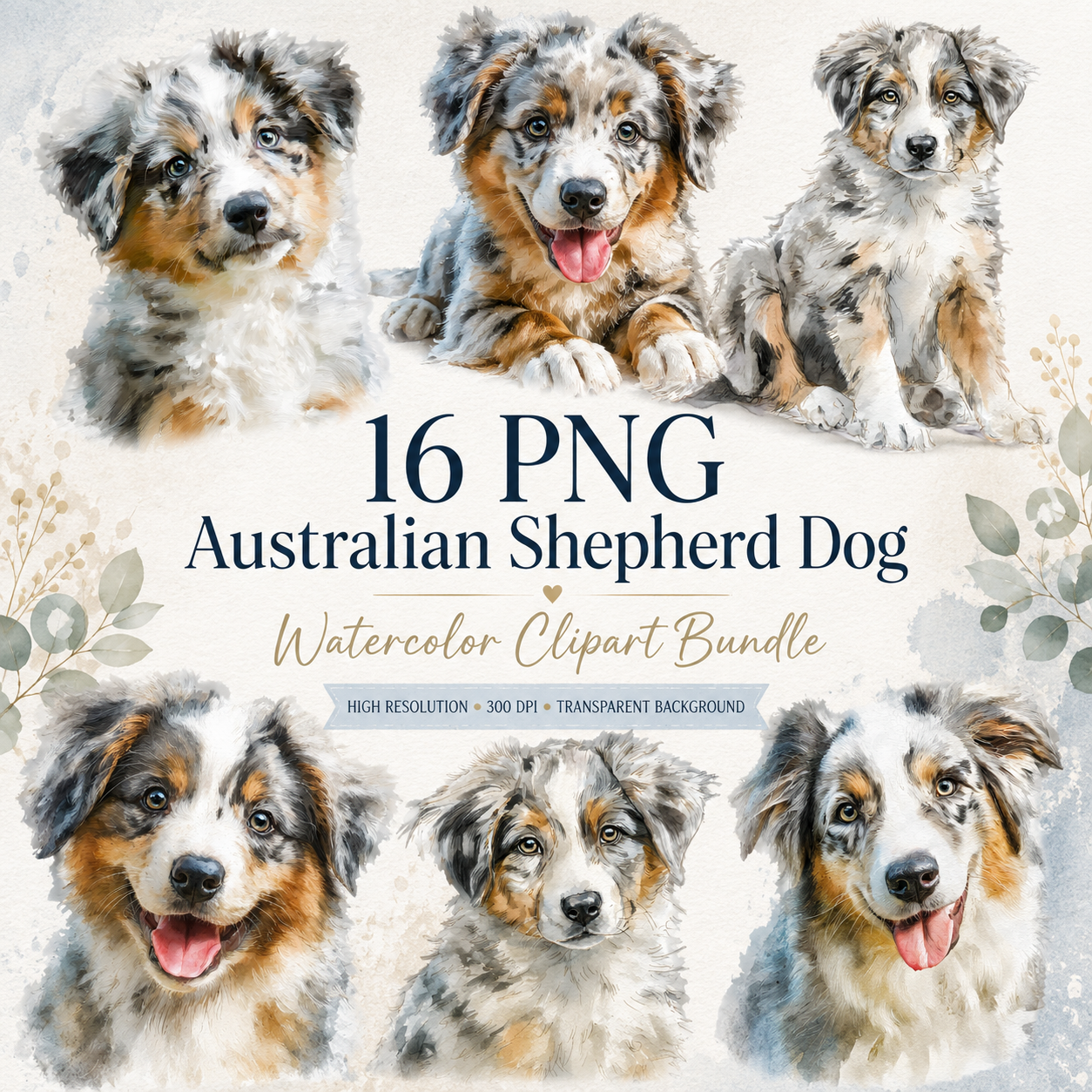Australian Sheppard Dog Clipart Set: 16 PNG, Transparent Background Clipart(Instant Download)