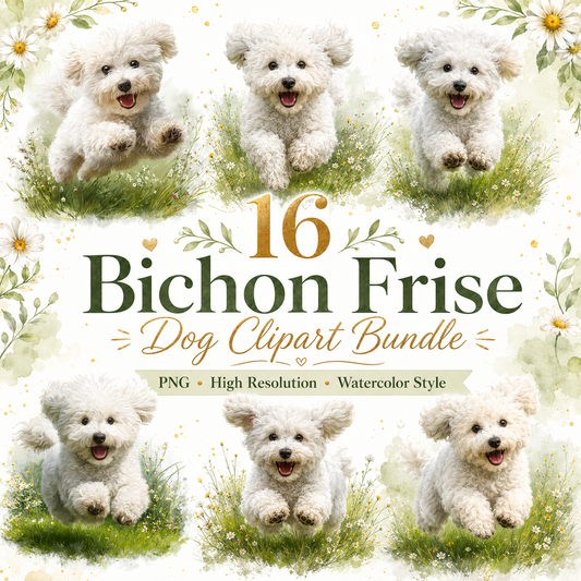 Bichon Frise Clipart Set: 16 PNG, Transparent Background Clipart(Instant Download)
