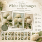 Ivory & Sage Hydrangeas Printable Design Sheets – 16 A4 Digital Pages for Crafts (Instant Download)
