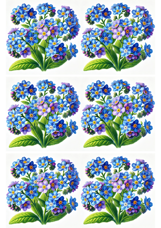 Sticker Sheet – Forget-me-nots Collage, Cat. No. 2174