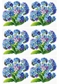 Stickerbogen – Vergissmeinnicht-Collage, Kat.-Nr. 2174