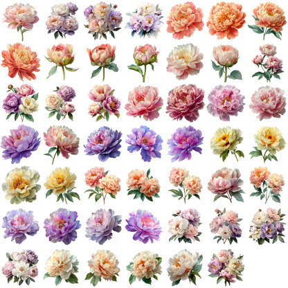 Watercolor Peonies Clipart Set: 48 PNG Designs with Transparent Background (Digital Download)