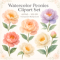 Watercolor Peonies Clipart Set: 48 PNG Designs with Transparent Background (Digital Download)