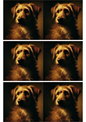 Wall Art Poster / Greeting Card / Sticker Sheet – Rembrandt Style Dog Portrait Collage Cat. No. 2248