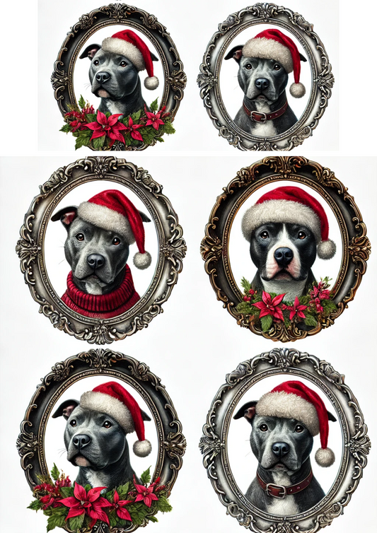 Sticker Sheet – Pitbul In Oval And Christmas Hat Full Cat. No. 3096