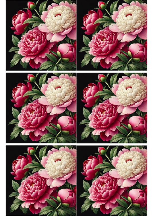 Sticker Sheet – Peonies On Black Background Collage Cat. No. 2264