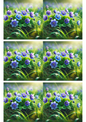 Klistremerkeark – Hepatica Collage Kat.nr. 3097