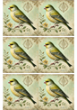 Stickerbogen – Vogel Shabby Chic Collage Kat. Nr. 2284