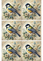 Wall Art Poster / Greeting Card / Sticker Sheet – Blue Tit Shabby Chic Collage Cat. No. 2290