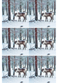 Wall Art Poster / Greeting Card / Sticker Sheet – Reindeer In Winter Forest 2 Collage Cat. No. 2333