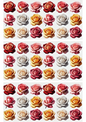Stickerbogen – Rosen-Mix-Collage Kat. Nr. 2355