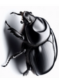 Klistremerkeark Scarab Full Kat. nr. 1171