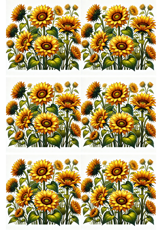Sticker Sheet – Sunflowers 3 Collage Cat. No. 2457