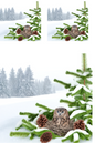 Wall Art Poster / Greeting Card / Sticker Sheet – Owl In The Nest On The Fir Tree 4 Collage Cat No. 795