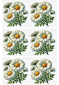 Stickerbogen – Gänseblümchen-Collage Kat. Nr. 2495