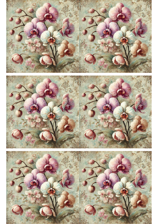 Sticker Sheet – Orchids Schabby Chic Collage Cat. No. 2497