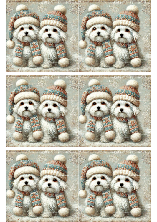 Sticker Sheet – Two Maltese Shabby Chic Collage Cat. No. 2555