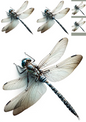 Wall Art Poster / Greeting Card / Sticker Sheet – Dragonfly Collage, Cat. No. 1182