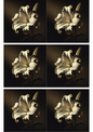 Wall Art Poster / Greeting Card / Sticker Sheet – White Lily Collage Cat. No. 2647