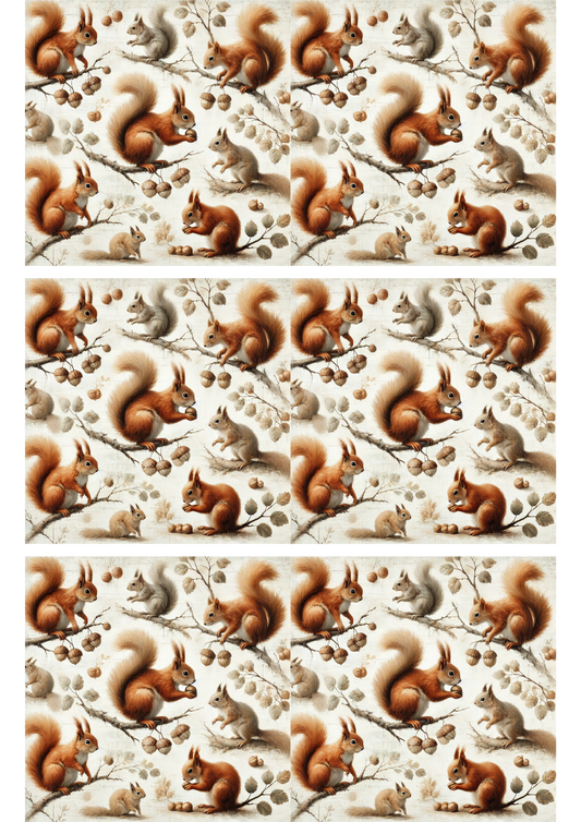 Sticker Sheet – Squirrels Collage Cat. No. 3177