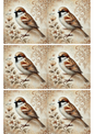 Wall Art Poster / Greeting Card / Sticker Sheet – Sparrow Shabby Chic Collage Cat. No. 2693